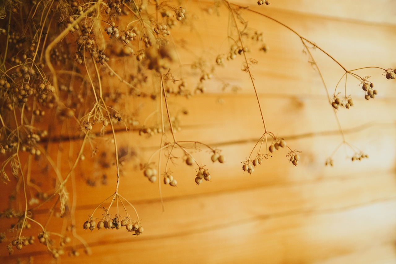 Drying Herbs from Your Garden 101